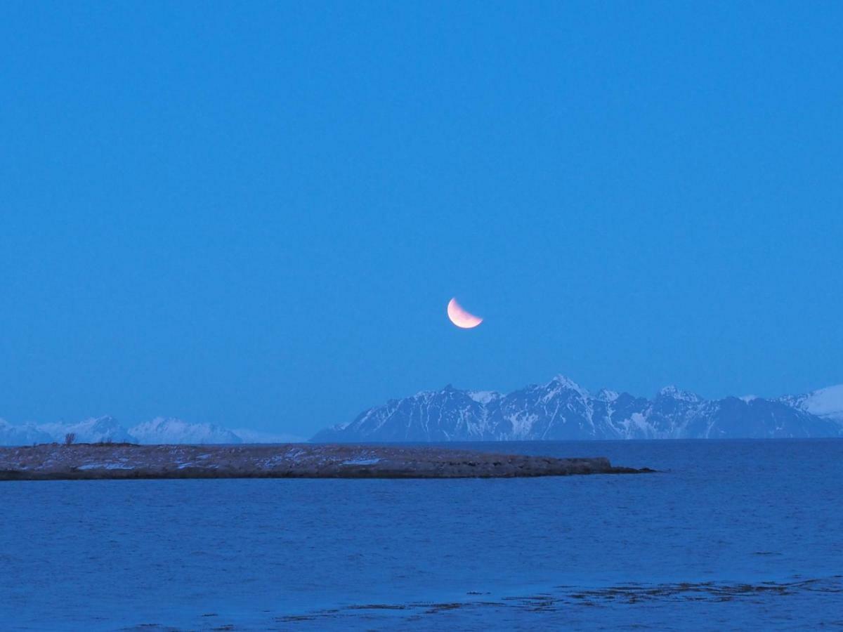 Lofoten Ocean View - Sandoy Gard Sand  외부 사진
