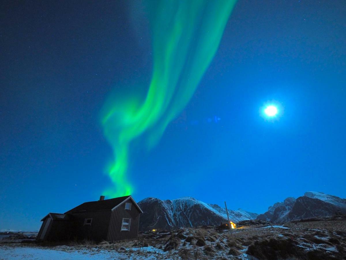 Lofoten Ocean View - Sandoy Gard Sand  외부 사진